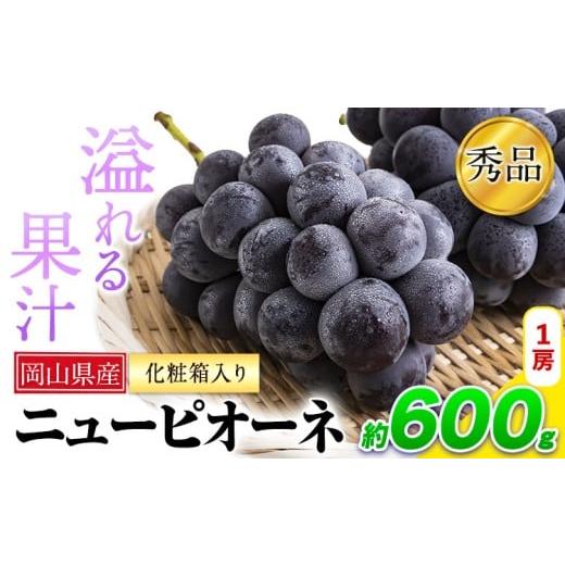 ふるさと納税 ぶどう マスカット 岡山県 笠岡市 岡山県産 ニューピオーネ 約600g 1房[8月下旬-10月中旬頃出荷]岡山県 笠岡市 葡萄 果物 秀品 スイーツ フル…
