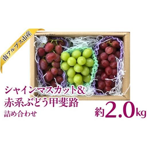 ふるさと納税 果物類 ぶどう 山梨県 南アルプス市 2026年発送先行予約 シャインマスカット&赤系ぶどう甲斐路詰め合わせ 2.0kg相当[くだもの 果物 新鮮 …