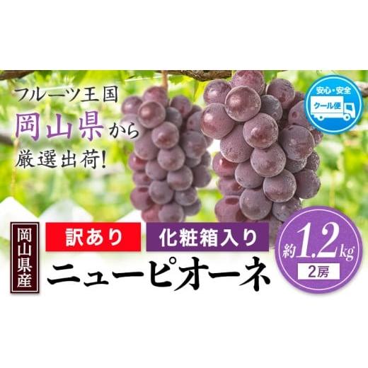 ふるさと納税 ぶどう マスカット 岡山県 笠岡市 先行予約 岡山県産 ニューピオーネ 約1.2kg(2房)[8月下旬-10月下旬頃出荷(土日祝除く)]岡山県 笠岡市 葡萄 …