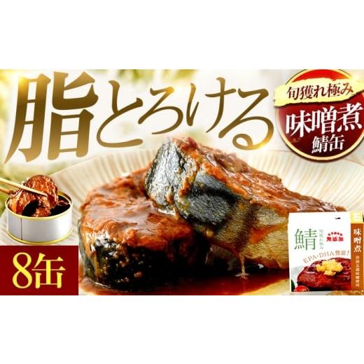 ふるさと納税 缶詰・瓶詰 魚貝類 福井県 小浜市 旬獲れ極み鯖味噌煮缶詰 8缶 | サバ缶 鯖缶 さば缶 鯖 サバ さば 缶詰 サバ缶詰 鯖缶詰 缶 詰合せ 詰め合せ…