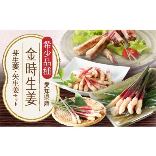 ふるさと納税 セット・詰合せ 愛知県 稲沢市 金時生姜 芽生姜・矢生姜セット / 生姜 新生姜 芽生姜 矢生姜 新鮮 旬 野菜 / 稲沢市 / 有限会社木村農園 BMBN…