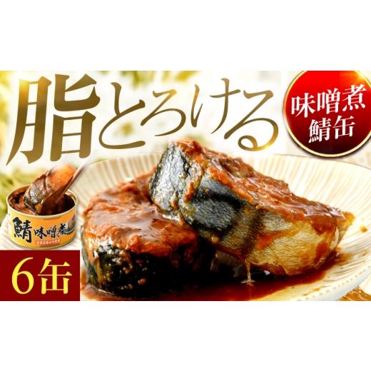 ふるさと納税 缶詰・瓶詰 魚貝類 福井県 小浜市 鯖味噌煮缶詰 6缶| サバ缶 鯖缶 さば缶 鯖 サバ さば 缶詰 サバ缶詰 鯖缶詰 缶 詰合せ 詰め合せ セット 非常…
