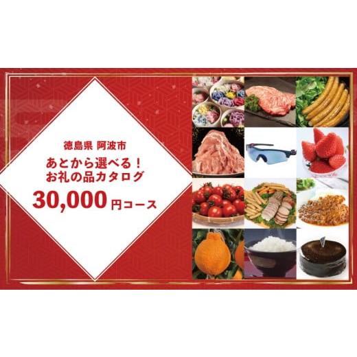 ふるさと納税 カタログ 徳島県 阿波市 ゆっくりえらべる カタログ 3万円 コース あとから選べる 鮮魚 肉 米 酒 定期便 スイーツ フルーツ 選べる ギフト セレ…