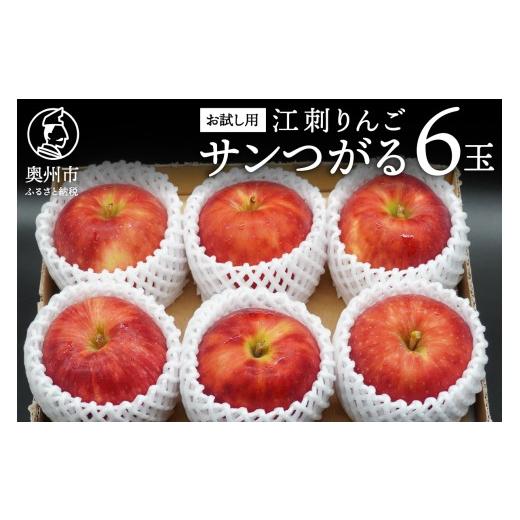 ふるさと納税 りんご 岩手県 奥州市 お試し用 江刺りんご 「サンつがる」 6玉 1.6kg フルーツ 林檎 冷蔵配送 離島配送不可 AQ090 サンつがる