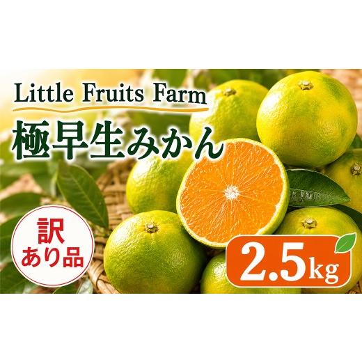 ふるさと納税 果物類 みかん 大分県 杵築市 訳あり品 リトルフルーツファームの極早生みかん 約2.5kg / ミカン みかん 蜜柑 柑橘類 訳あり先行予約 10月 11…