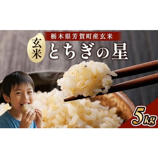 ふるさと納税 玄米 栃木県 芳賀町 ＼ご好評につき再販 /特A受賞 令和7年度産 とちぎの星 栃木県芳賀町産玄米5kg | 米 お米 玄米 ブランド米 特A評価 令和7年…
