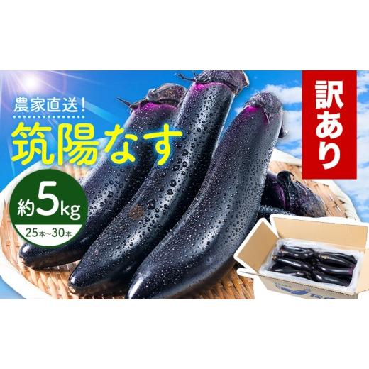 ふるさと納税 野菜類 茄子 鹿児島県 さつま町 訳あり 筑陽なす 約5kg 25-30本 さつま園芸組合[7月上旬-9月末頃出荷]鹿児島県 さつま町 茄子 なす ナス なす…