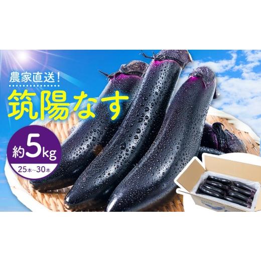 ふるさと納税 野菜類 茄子 鹿児島県 さつま町 筑陽なす 約5kg 25-30本 さつま園芸組合[7月上旬-9月末頃出荷]鹿児島県 さつま町 茄子 なす ナス なすび 野菜