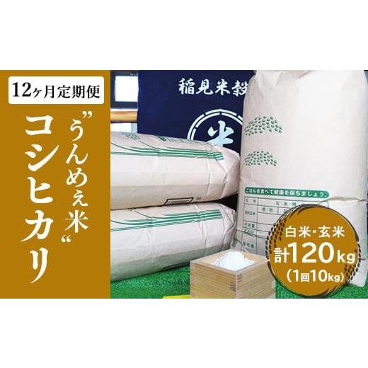 栃木県産コシヒカリ 10kg