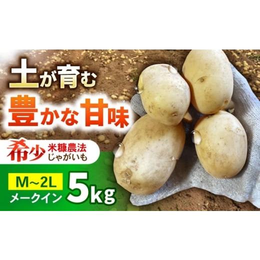 ふるさと納税 野菜類 じゃがいも 長崎県 諫早市 ジャガイモ(メークイーン) 5kg / 諫早市 / 未来ファーム