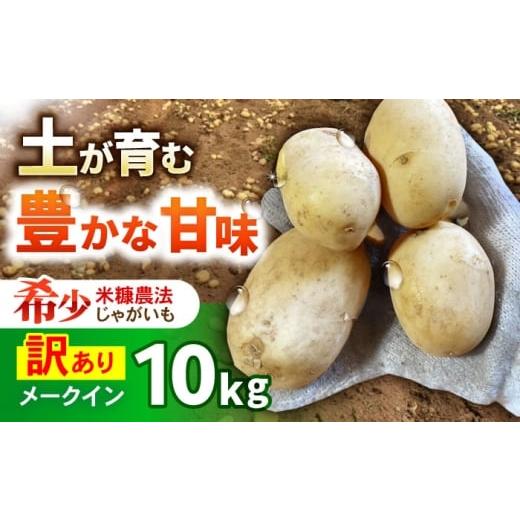 ふるさと納税 野菜類 じゃがいも 長崎県 諫早市 訳ありジャガイモ(メイクイーン) 10kg / 諫早市 / 未来ファーム