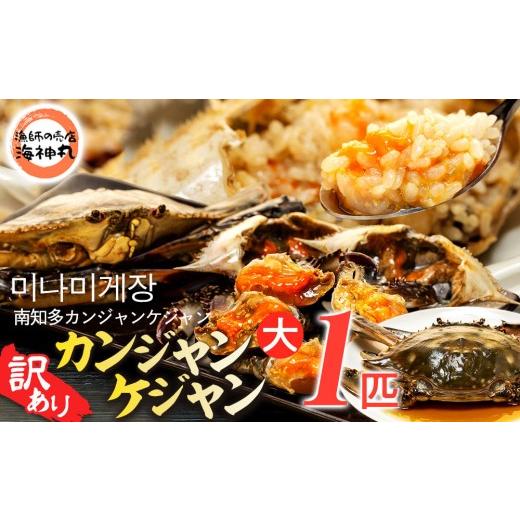 ふるさと納税 魚貝類 愛知県 南知多町 訳あり 南知多カンジャンケジャン カンジャンケジャン 大蟹1匹 ワタリガニの醤油漬け 魚介 魚介類 ワタリガニ 渡蟹 蟹 …