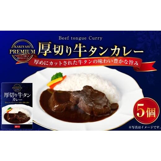 ふるさと納税 加工品等 レトルト 三重県 桑名市 プレミアム 厚切り牛タンカレーセット 200g×5パック 計1kg カレーライス 牛肉 湯煎 098-0022の画像
