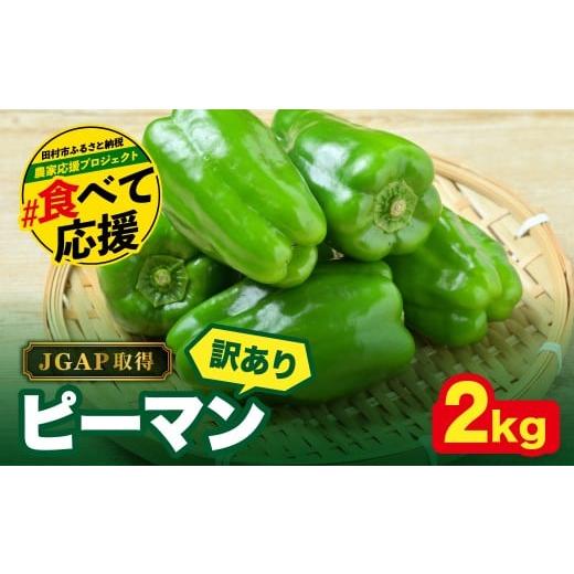 ふるさと納税 野菜類 福島県 田村市 先行予約 農家さん応援 訳あり ピーマン 2kg JGAP取得 農家直送 冷蔵便 野菜 6月下旬発送 新鮮 BBQ 焼肉 国産 おすすめ …
