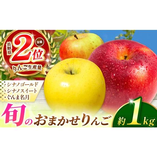 ふるさと納税 りんご 長野県 塩尻市 2026年先行予約 信州産 塩尻エールりんご 農家さん応援 旬のおまかせりんご 約1kg(3〜5玉) シナノゴールド・シナノスイ…