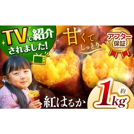 ふるさと納税 野菜類 サツマイモ 山口県 美祢市 さつまいも TVで紹介 アフター保証 甘くておいしい 紅はるか 1kg | さつまいも サツマイモ 芋 いも 野菜 紅は…