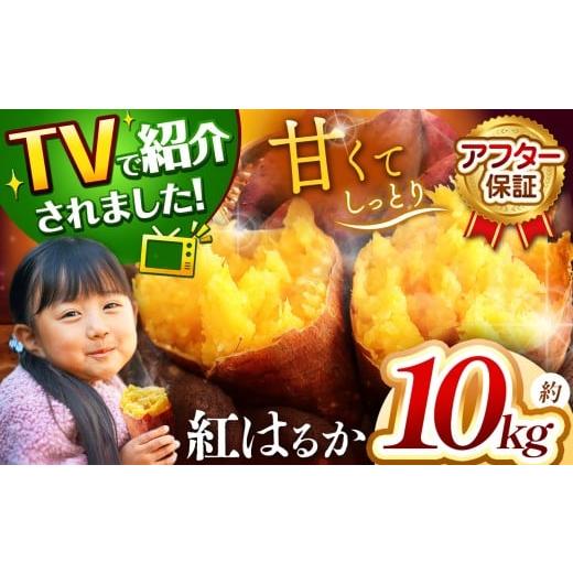 ふるさと納税 野菜類 サツマイモ 山口県 美祢市 さつまいも TVで紹介 アフター保証 甘くておいしい 紅はるか 10kg ｜ さつまいも サツマイモ 芋 いも 野菜 紅…の画像