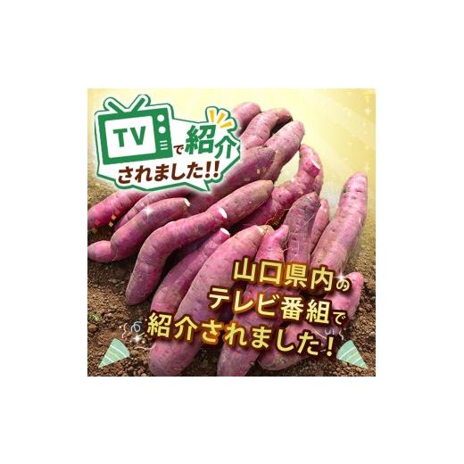 ふるさと納税 野菜類 サツマイモ 山口県 美祢市 さつまいも TVで紹介 アフター保証 甘くておいしい 紅はるか 10kg ｜ さつまいも サツマイモ 芋 いも 野菜 紅…の画像