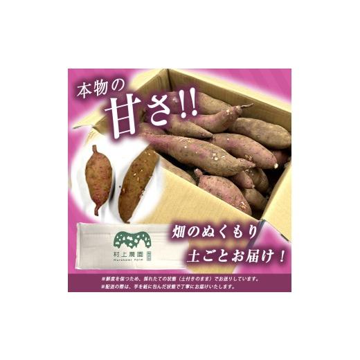 ふるさと納税 野菜類 サツマイモ 山口県 美祢市 さつまいも TVで紹介 アフター保証 甘くておいしい 紅はるか 10kg ｜ さつまいも サツマイモ 芋 いも 野菜 紅…の画像