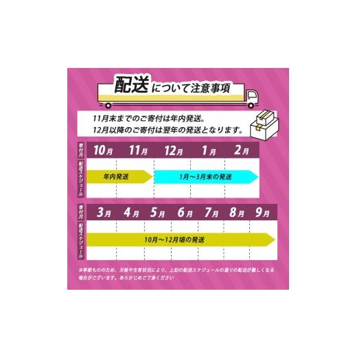 ふるさと納税 野菜類 サツマイモ 山口県 美祢市 さつまいも TVで紹介 アフター保証 甘くておいしい 紅はるか 10kg ｜ さつまいも サツマイモ 芋 いも 野菜 紅…の画像