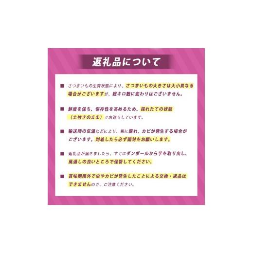 ふるさと納税 野菜類 サツマイモ 山口県 美祢市 さつまいも TVで紹介 アフター保証 甘くておいしい 紅はるか 10kg ｜ さつまいも サツマイモ 芋 いも 野菜 紅…の画像