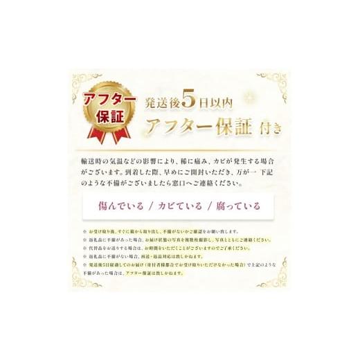 ふるさと納税 野菜類 サツマイモ 山口県 美祢市 さつまいも TVで紹介 アフター保証 甘くておいしい 紅はるか 10kg ｜ さつまいも サツマイモ 芋 いも 野菜 紅…の画像