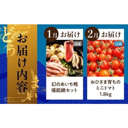 ふるさと納税 地域のお礼の品 愛知県 豊橋市 穂の国の恵み どうまい 定期便 A＆Bコース ／ 鴨 鴨肉 鍋 セット むき海老 エビ 姫牛 牛 牛肉 フローズンヨーグル… |  | 02
