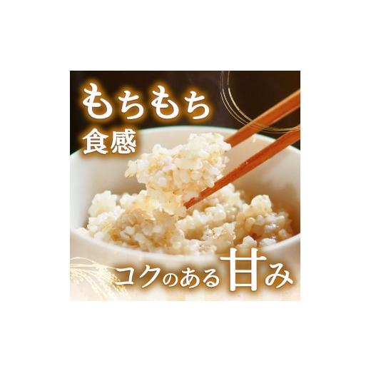 ふるさと納税 玄米 宮城県 涌谷町 新米予約 令和8年産 つや姫 30kg 玄米 2026年1月より順次発送予定 sato003 1月発送_2