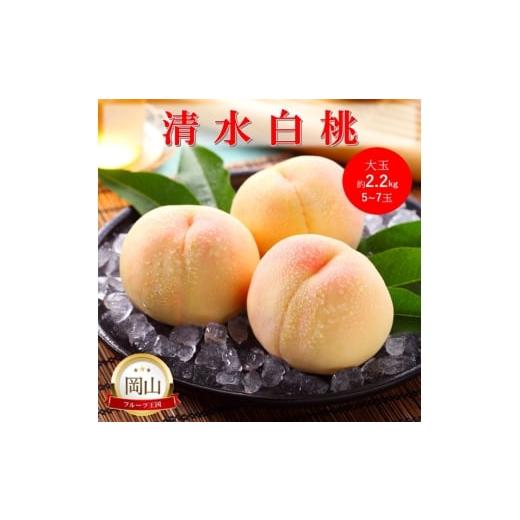 ふるさと納税 もも 岡山県 高梁市   2026年 早期受付 岡山県産 清水白桃 大玉 (約2.2kg) 5〜7玉 桃 白桃 もも 果物 フルーツ