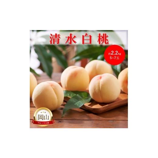 ふるさと納税 もも 岡山県 高梁市   2026年 早期受付 岡山県産 清水白桃 (約2.2kg)5〜7玉 桃 白桃 もも 果物 フルーツ