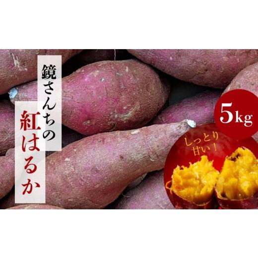 ふるさと納税 野菜類 サツマイモ 熊本県 天草市 S050-010_鏡さんちの紅はるか 5kgの画像
