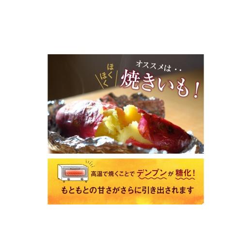 ふるさと納税 野菜類 サツマイモ 熊本県 天草市 S050-010_鏡さんちの紅はるか 5kgの画像