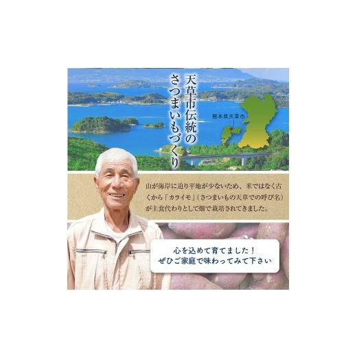 ふるさと納税 野菜類 サツマイモ 熊本県 天草市 S050-010_鏡さんちの紅はるか 5kgの画像