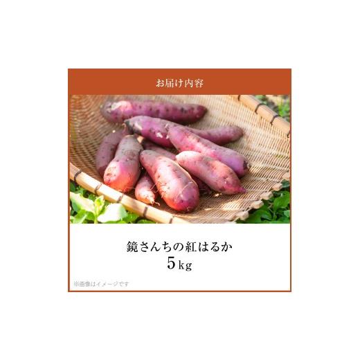 ふるさと納税 野菜類 サツマイモ 熊本県 天草市 S050-010_鏡さんちの紅はるか 5kgの画像