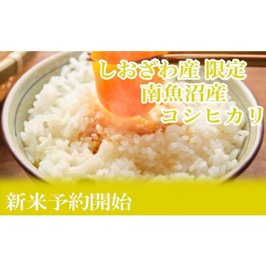 ふるさと納税 米 コシヒカリ 新潟県 南魚沼市  令和8年産 新米予約 定期便６ヶ月：精米2kgしおざわ産限定 南魚沼産コシヒカリ 2026年10月上旬から1ヶ月以内に…の画像