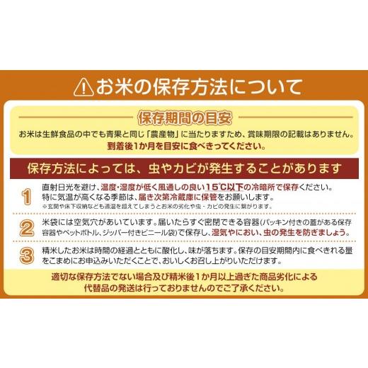 ふるさと納税 米 コシヒカリ 新潟県 南魚沼市  令和8年産 新米予約 定期便６ヶ月：精米2kgしおざわ産限定 南魚沼産コシヒカリ 2026年10月上旬から1ヶ月以内に…の画像