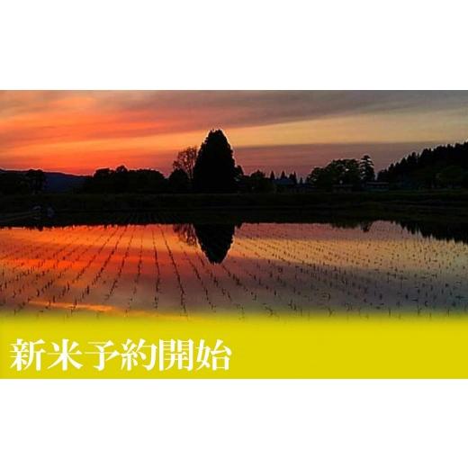 ふるさと納税 米 コシヒカリ 新潟県 南魚沼市  令和8年産 新米予約 定期便６ヶ月：精米2kgしおざわ産限定 南魚沼産コシヒカリ 2026年10月上旬から1ヶ月以内に…の画像