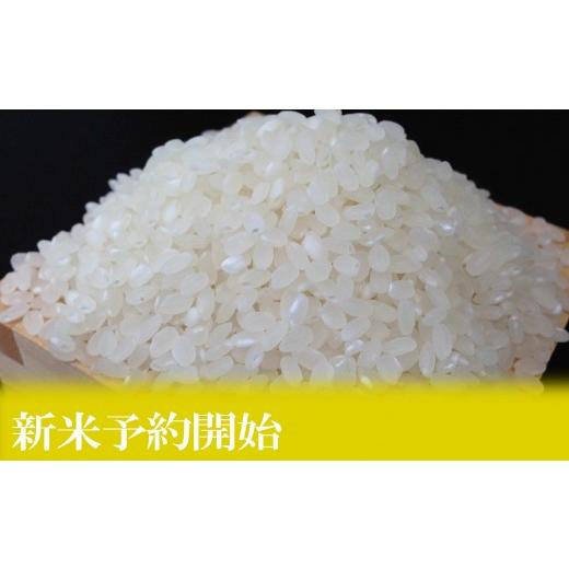 ふるさと納税 米 コシヒカリ 新潟県 南魚沼市  令和8年産 新米予約 定期便６ヶ月：精米2kgしおざわ産限定 南魚沼産コシヒカリ 2026年10月上旬から1ヶ月以内に…の画像