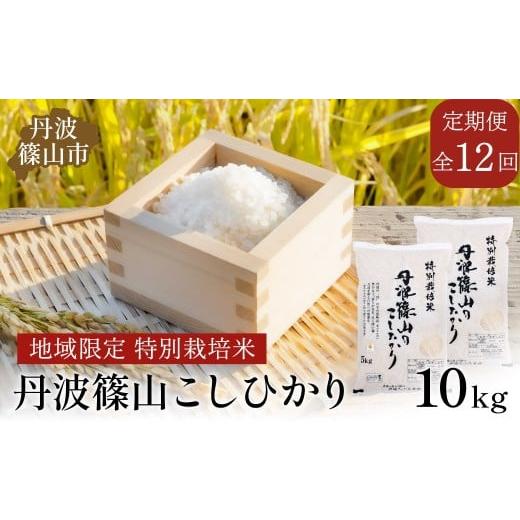 ふるさと納税 米 コシヒカリ 兵庫県 丹波篠山市 定期便 令和7年産 特Aランク特別栽培米 コシヒカリ 10kg(全12回)総量120kg 兵庫県 丹波篠山市 白米 100%…