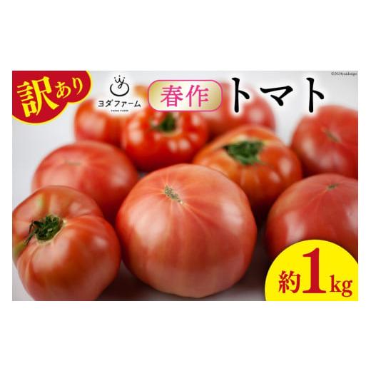 ふるさと納税 野菜類 トマト 山梨県 中央市 2026年発送 春作 訳あり 桃太郎トマト 約1kg ヨダファーム 山梨県 中央市 21470965 規格外 家庭用 不揃い トマト …