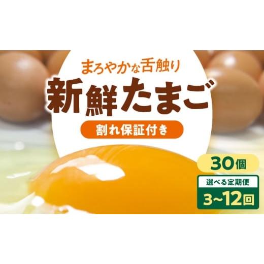 ふるさと納税 卵(鶏、烏骨鶏等) 愛媛県 大洲市 たまご 全6回定期便 卵 平飼い 海草たまご 3パック(30個入り)割れ保証あり 30個 3パック 鶏卵 海藻育ち 濃…