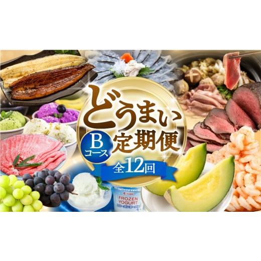 ふるさと納税 うなぎ 愛知県 豊橋市 海鮮コース 穂の国の恵み どうまい 定期便 全12回 Bコース 海鮮 ( 餃子 むき えび うなぎ おでん 鴨鍋 かも鍋 鮎 うなぎ …_1