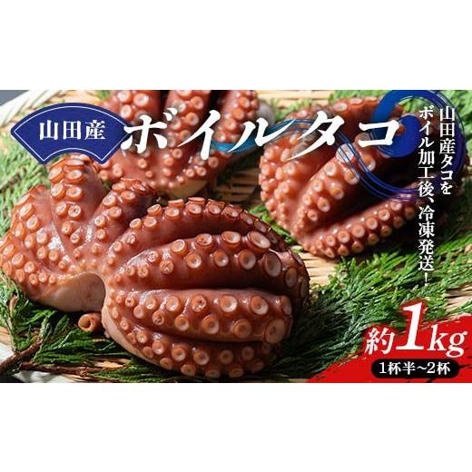 ふるさと納税 タコ 岩手県 山田町 川石水産の山田産ボイルタコ 1kg 三陸山田 山田町 海産品 山田湾 蛸 刺身 タコ飯 YD-876 1kg