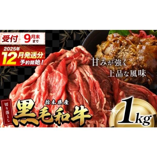 soulabo AGAVE purple X ML4 レッドレンザー2個 セット soulabo AGAVE purple X ML4 レッドレンザー2個 セット