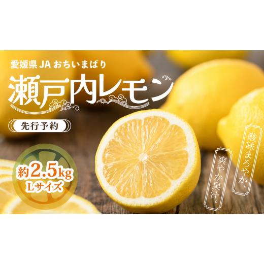 ふるさと納税 みかん・柑橘類 レモン 愛媛県 上島町 先行予約 瀬戸内レモン小箱 約2.5kg(秀Lサイズ) | れもん レモン 檸檬 lemon 完熟 柑橘 国産 愛媛県産 新…