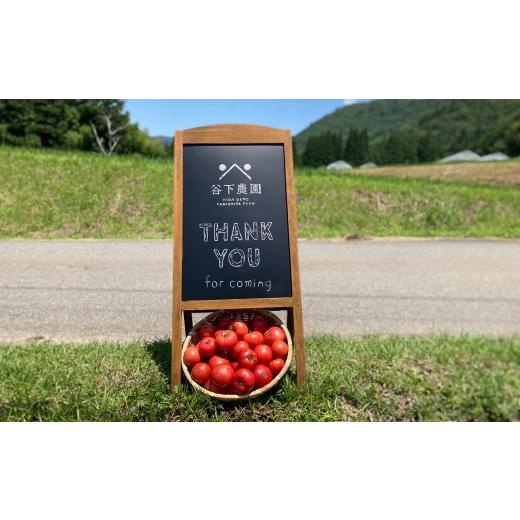 ふるさと納税 果汁飲料 トマト 岐阜県 下呂市  自家用 有機JAS認証 飛騨産 大地の恵みがぎゅーっと詰まったトマトジュース（プレーン）180ml×30本 簡易包装 …の画像