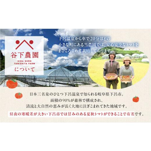 ふるさと納税 果汁飲料 トマト 岐阜県 下呂市  自家用 有機JAS認証 飛騨産 大地の恵みがぎゅーっと詰まったトマトジュース（プレーン）180ml×30本 簡易包装 …の画像