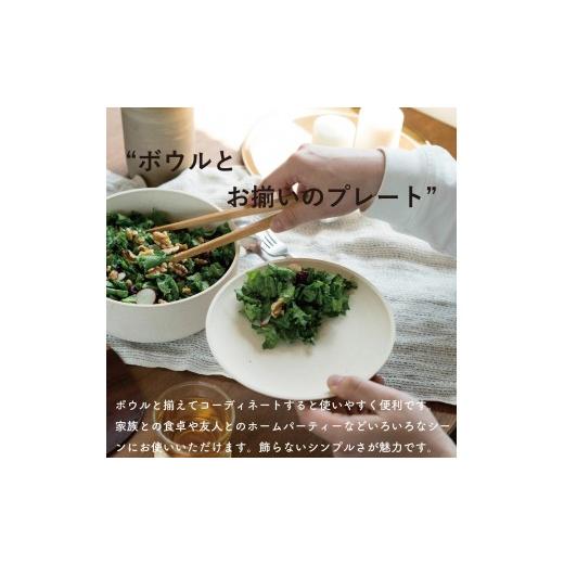ふるさと納税 食器・グラス 皿 滋賀県 甲賀市 SHIROTSUCHI PLATE 2枚セット ac-10 GRAIN WARE 信楽焼・明山の画像