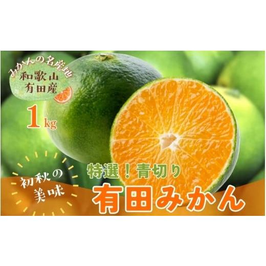 ふるさと納税 果物類 みかん 和歌山県 新宮市 先行予約 初秋の美味 農家直送 特選 青切り有田みかん 約1kg+200g(傷み補償分) 2026年9月中旬〜10月上旬頃に…