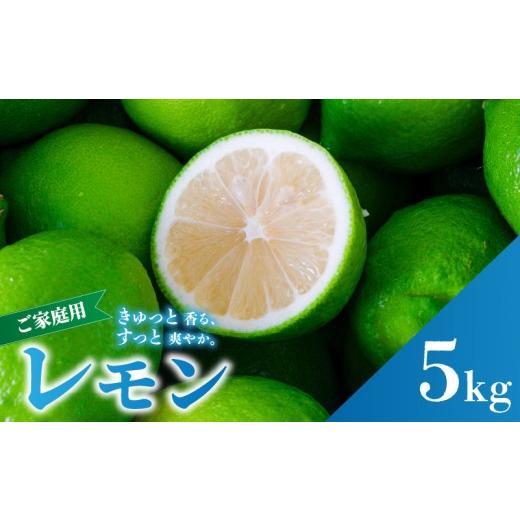 ふるさと納税 みかん・柑橘類 レモン 愛媛県 松山市 グリーンレモン 家庭用 5.0kg 2026年9月下旬頃から順次発送 防腐剤 ワックス 不使用| 訳あり レモン 檸檬…